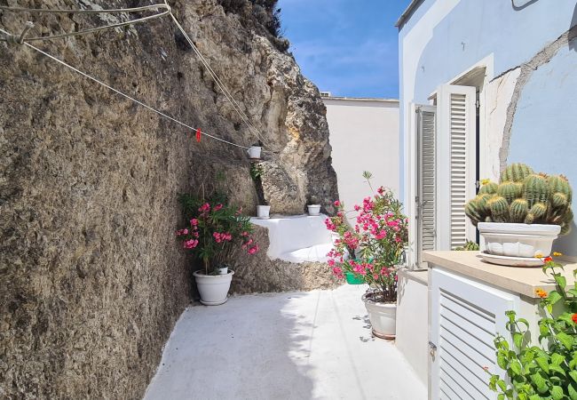 Rent by room in Ponza - b&b Casa d'aMare  - matrimoniale con terrazzo vist