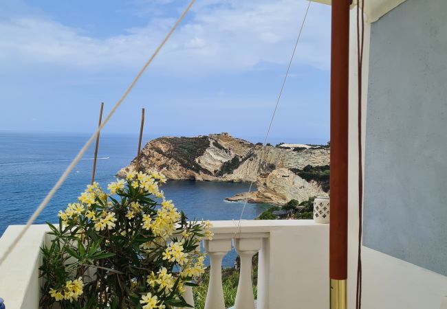 Rent by room in Ponza - b&b Casa d'aMare  - matrimoniale con terrazzo vist