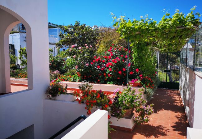 Rent by room in Ponza - La Maison Fiorita camere