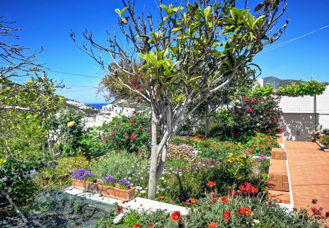 Rent by room in Ponza - La Maison Fiorita camere