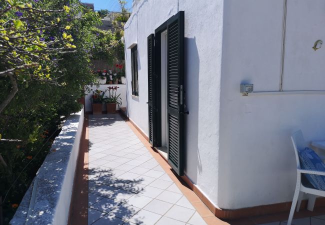 Appartement à Ponza - La Maison Fiorita - mono La Vite -