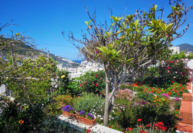 Appartement à Ponza - La Maison Fiorita - mono La Vite -