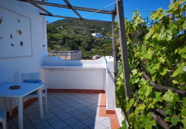 Appartement à Ponza - La Maison Fiorita - mono La Vite -